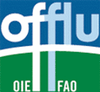 Logo OIE-FAO
